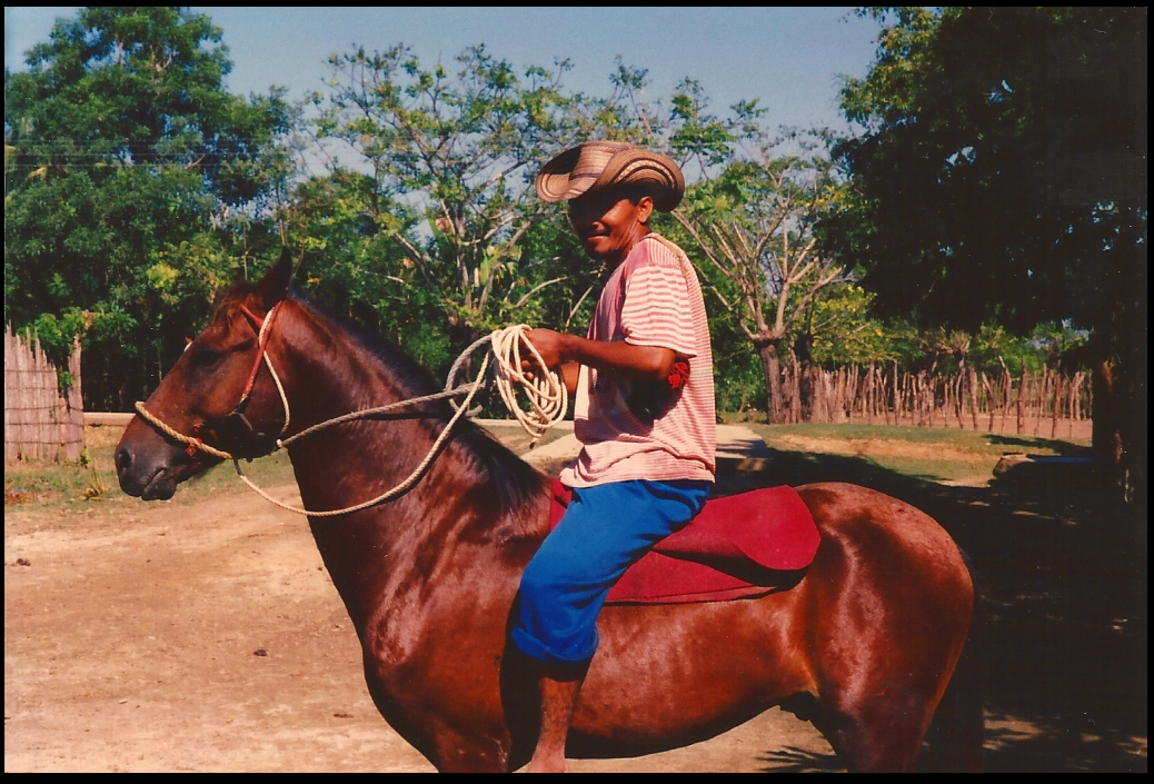 rope in hand and Colombian
            straw hat on head, Egidio rides his solid chestnut workhorse
            barefoot and saddleless