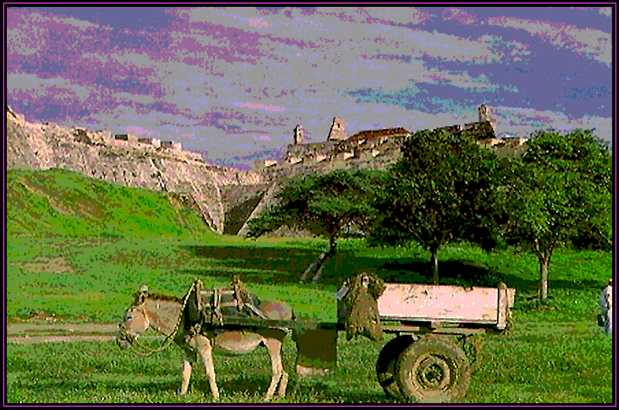 impregnable 18th century San Felipe
              fort in Cartagena, burro cart in foreground