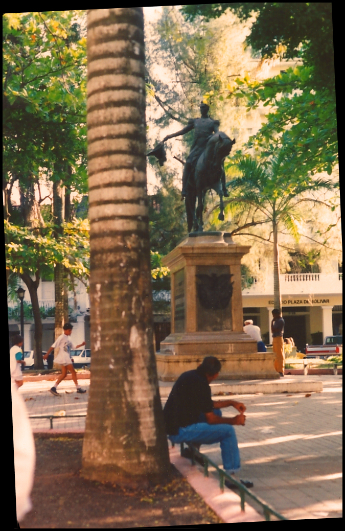 equestrian statue and thick royal palm in an upscale
            tree-shaded plaza