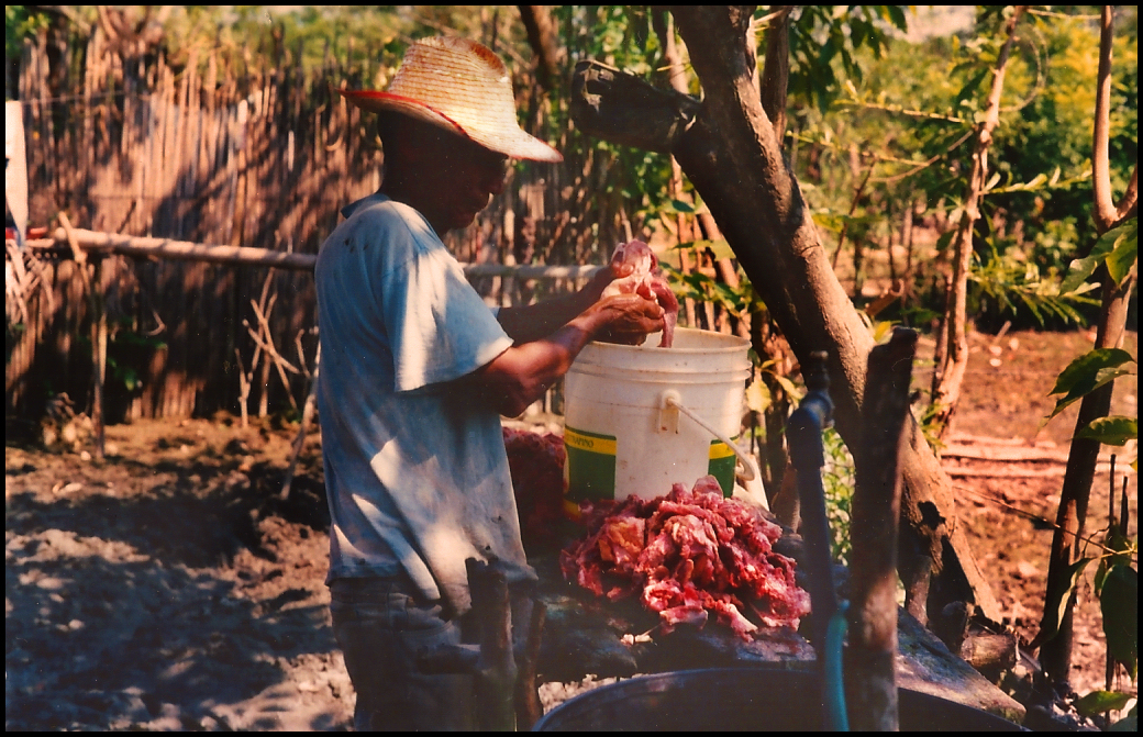 in the shade of
            a small backyard tree, on a wood board Tio sorts meat over
            an industrial chemical bucket