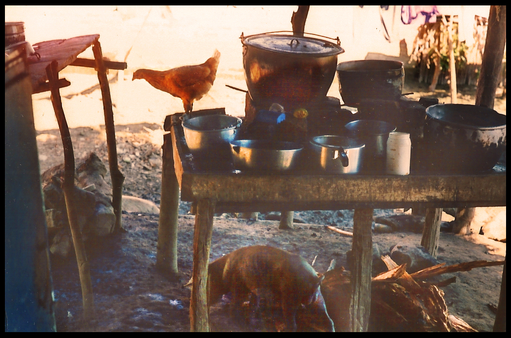 Victoria's back yard kitchen, wooden table
                as stove supports multiple pots, one on bricks for
                cooking, chicken next to it, pig beneath table waiting
                hopefully