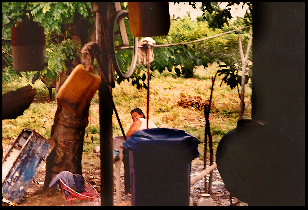 horses and hanging household objects surround Victoria
            as she works in backyard sink