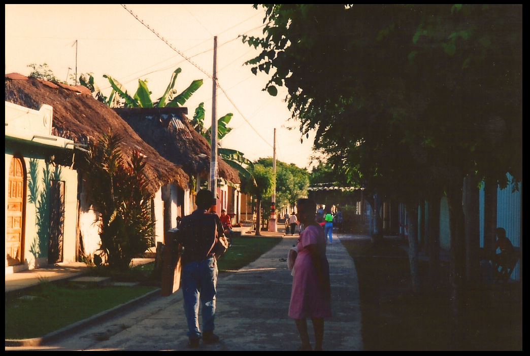 palms and
            groomed trees, well cared for street in Santisima Cruz,
            early morning, young and old walking