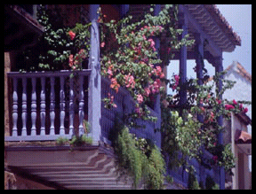 flowered wooden balcony in Old Town
              Cartagena