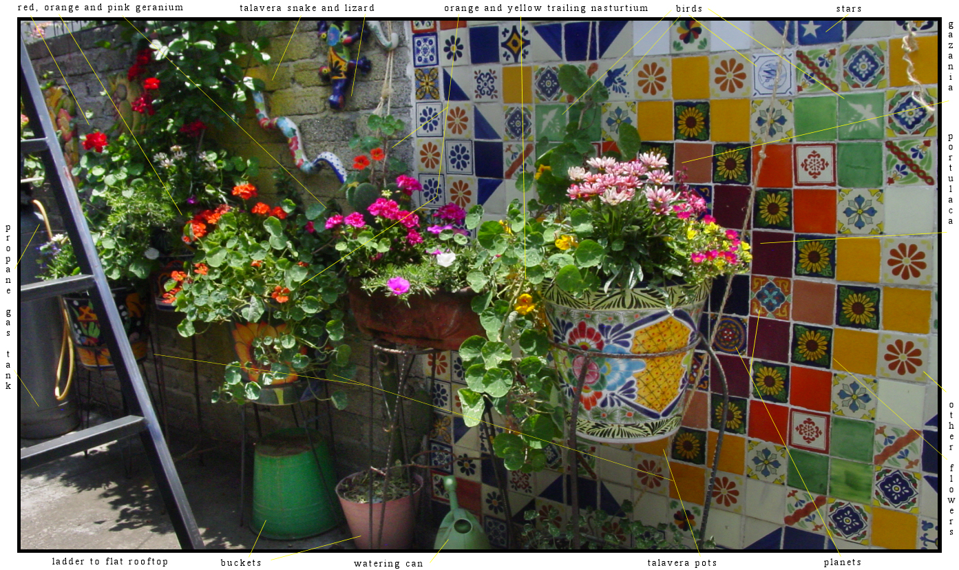 patio garden with
                tile wall, multicolor glazed Spanish pots and a variety
                of flowers all colors