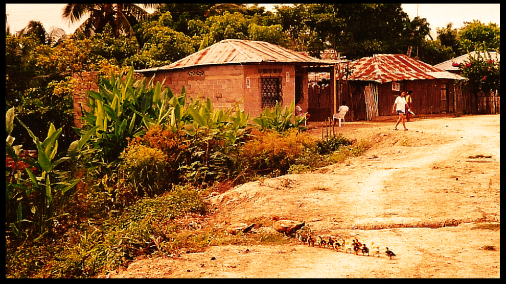 2 hens and a dozen following chickies
              cross an empty eroding dirt street in Pozón