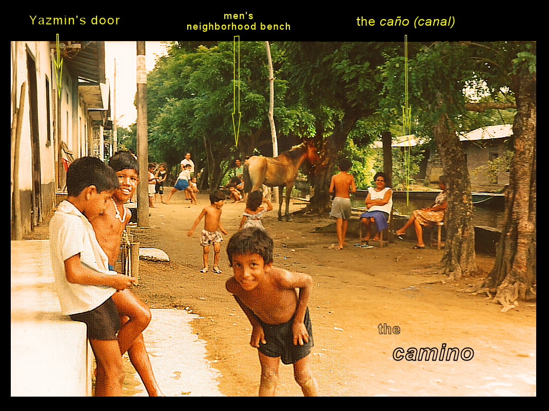 the camino or main (dirt)
              thoroughfare running along between row of houses and canal
              is at present heavily peopled with relaxing adults and
              playing kids (an evening scene)