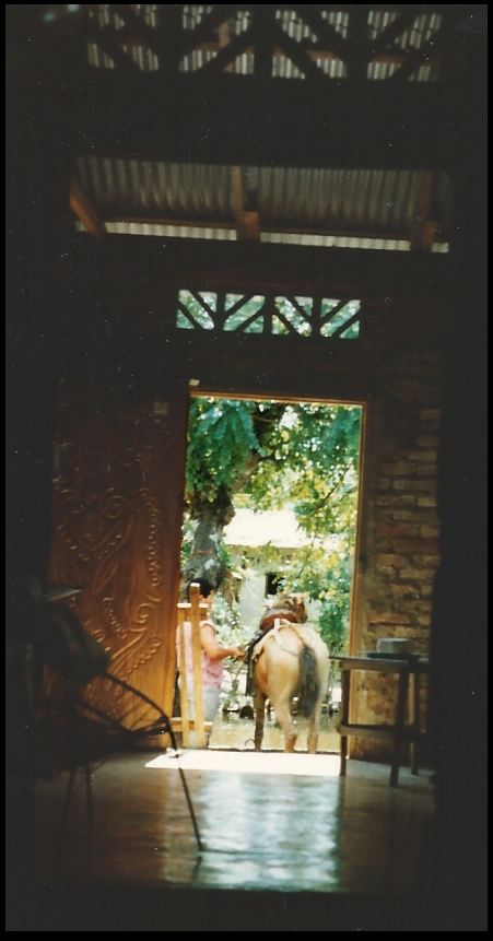 looking out Yazmín's Santisima
              Cruz front door onto camino, canal and Omar's horse being
              dressed; cheese on table inside the door is for sale