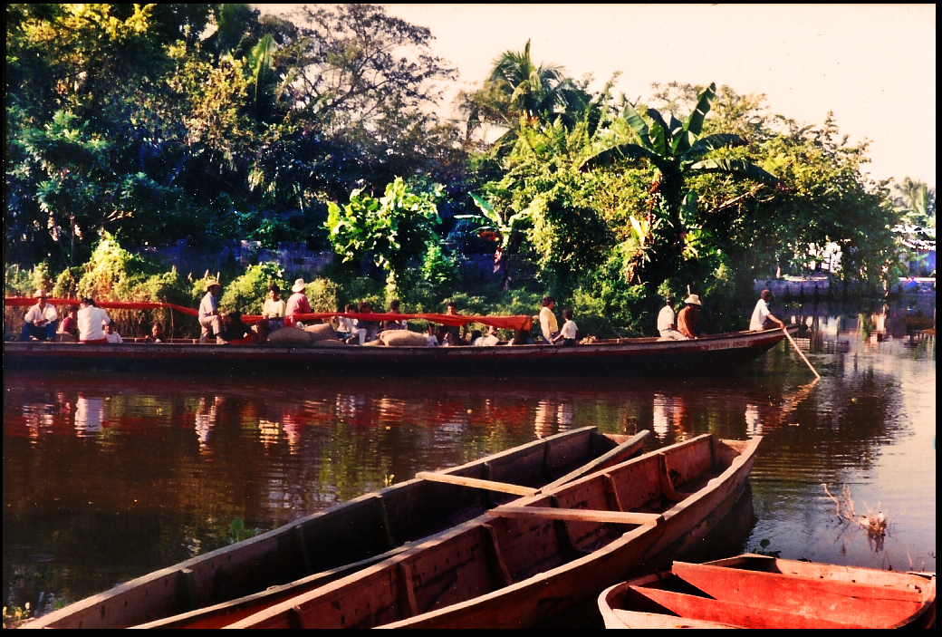 lush subtropical vegetation
              and tranquil reflective waterways with Colombian river
              delta style canoes and a long skinny launch full of
              standing and sitting passengers and piles of full gunny
              sacks