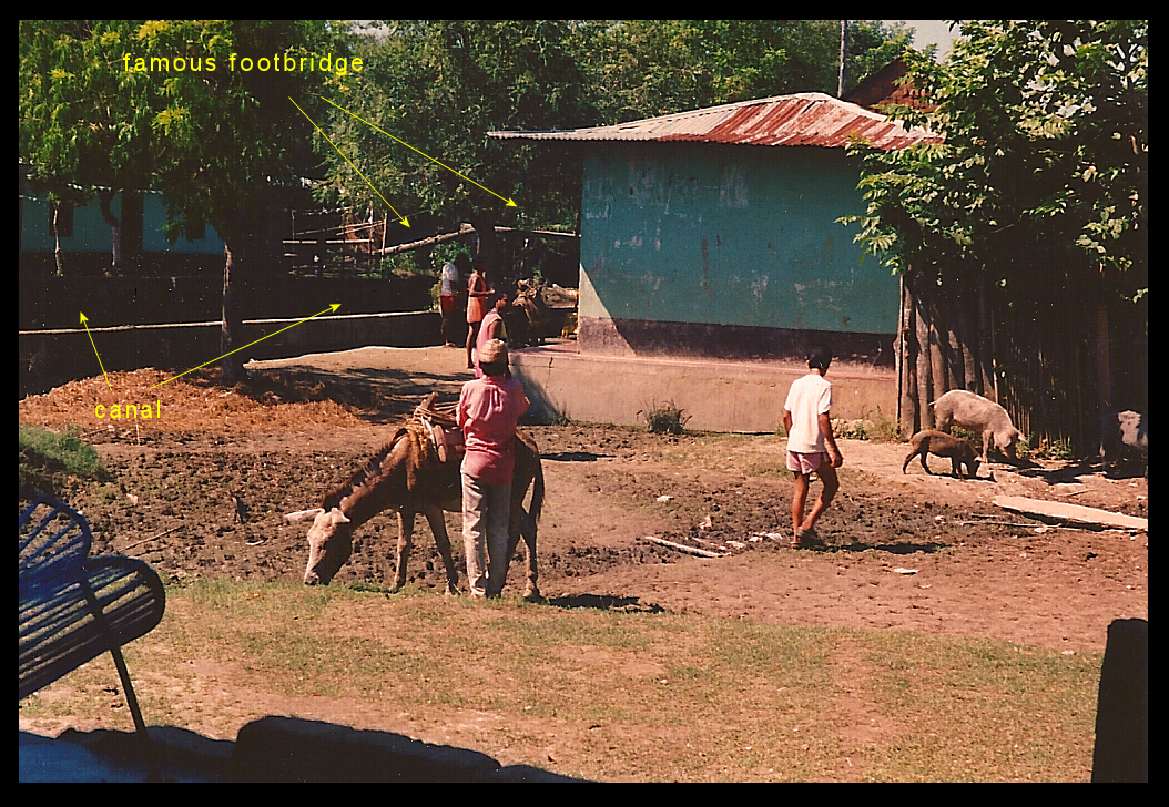 dirt street scene with pigs,
              burro and canal, and famous narrow footbridge of the
              all-night party