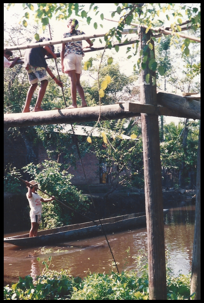 poling a dugout canoe under a
              caño (canal) footbridge