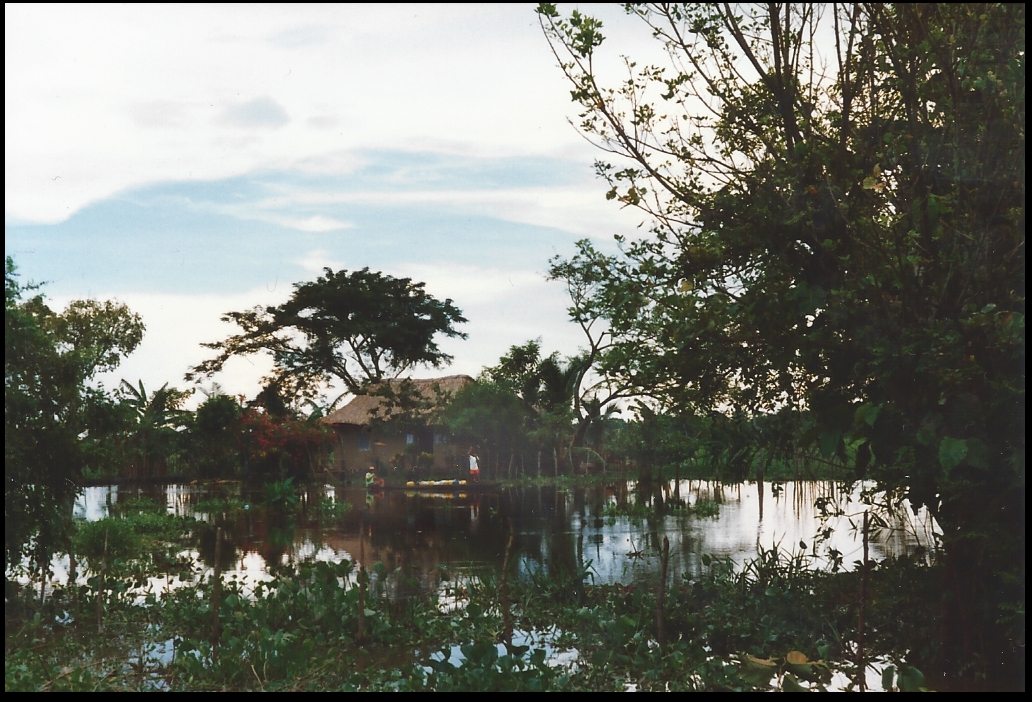 at dusk a man and a boy
              paddle a loaded dugout canoe past a single thatched
              countryside house surrounded by high water and beautiful
              vegetation