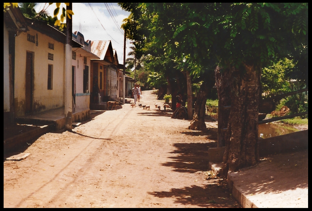 sunny walkway along Santisima
              Cruz canal with piglets and Boca Negra