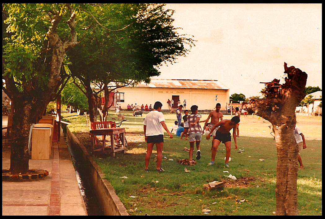 shirts and skins
            on trash-littered soccer field littered also with a huge
            butcher-ready pig