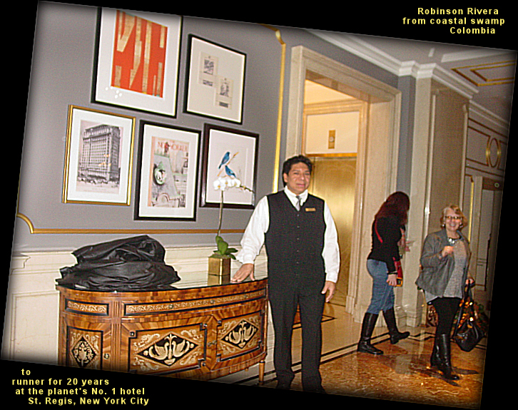 Robbie poses in the King Cole
              Restaurant where he has been runner for 20 years, St.
              Regis hotel, New York City