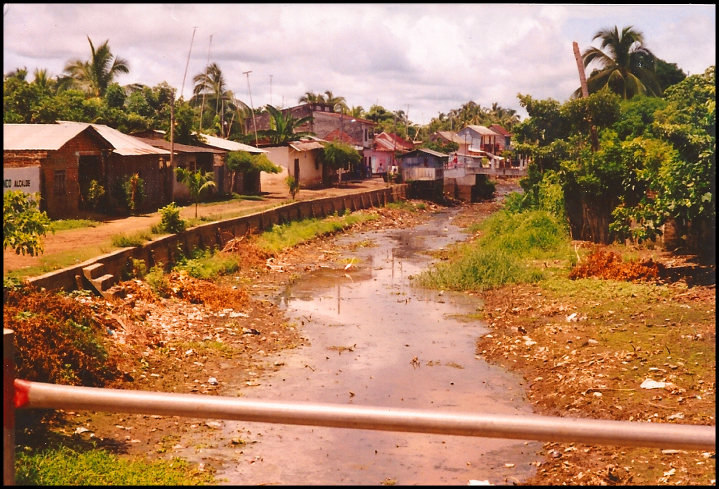 storm clouds reflected in dry
              season canal, with trees, houses and wading white egret