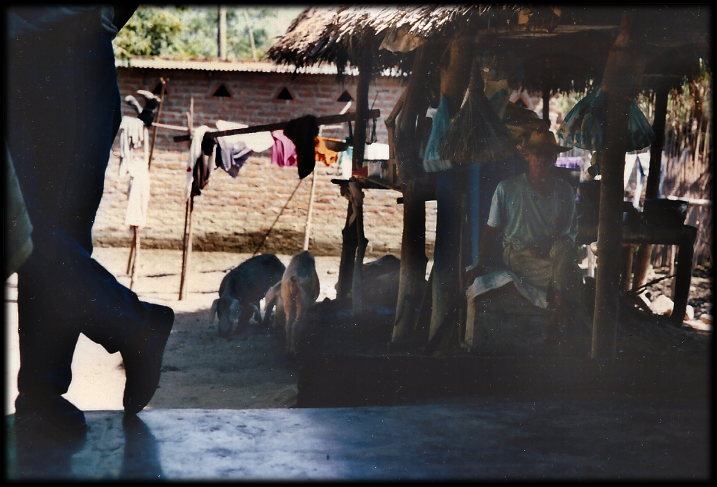 village elder sitting alone
              in shade of a thatched-roof patio kitchen in Santisima
              Cruz, surrounded by pigs, kitchen supplies and laundry on
              line