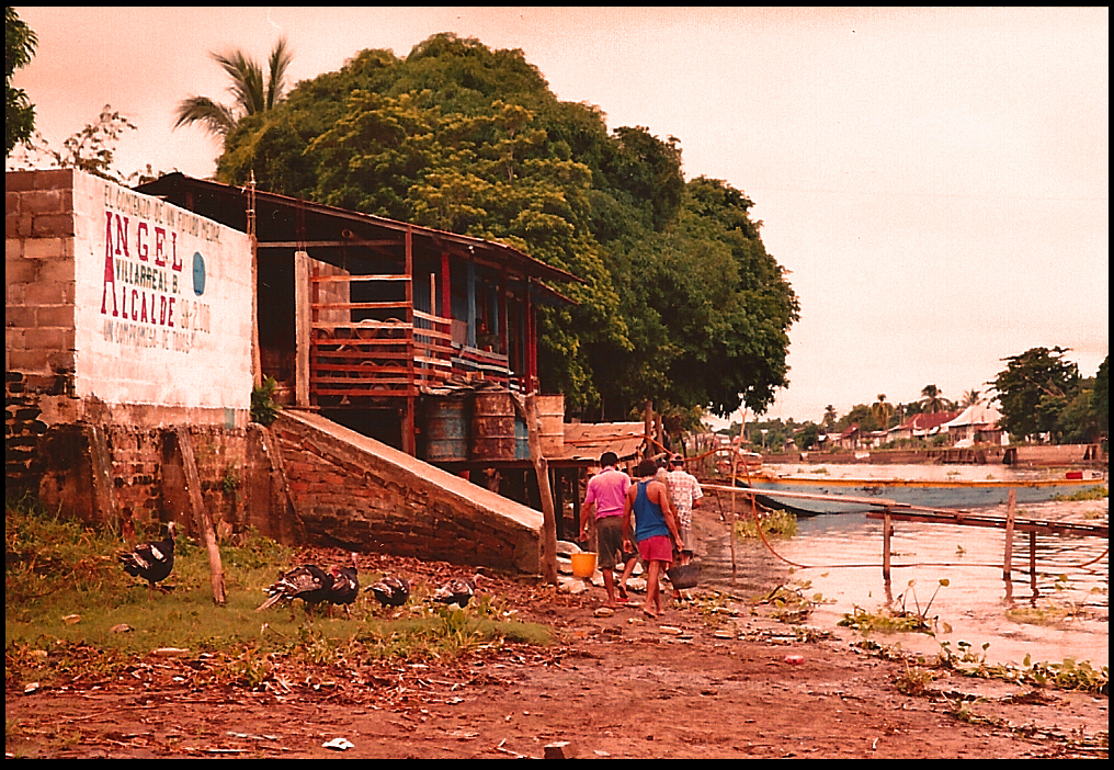 a family of turkeys and three
              barefoot men wend through colorful riverside houses and
              boats at sunset