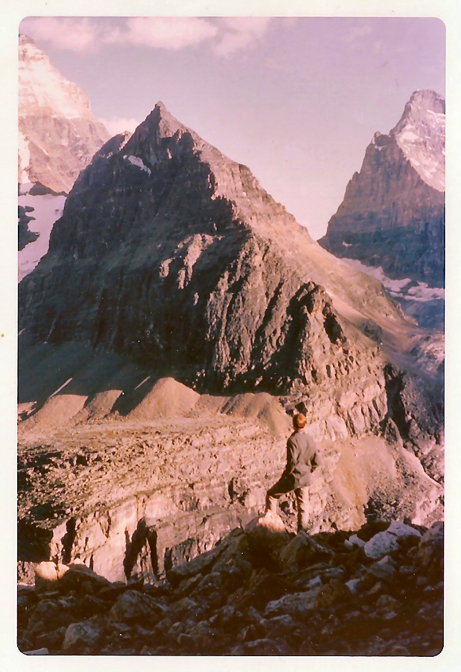 ikebana of 3 mountain peaks seen from
        Wiwaxy