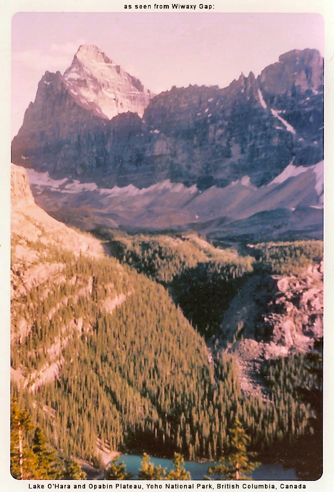 Lake O'Hara and Opabin Plateau from
        Wiwaxy Gap, Yoho Nat'l. Park, British Columbia, Canada