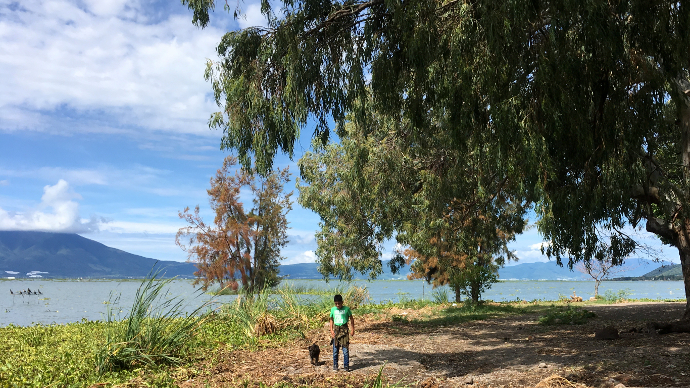 boy on lake
              shoreline with low mountains beyond, lovely trees and blue
              cloudysky