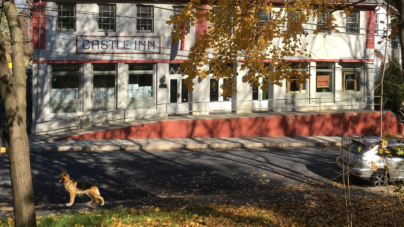 old inn labeled 'Castle Inn' with a
              German shepherd in foreground