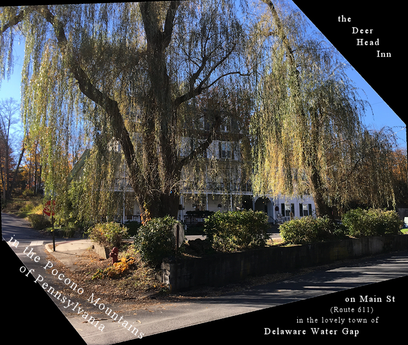 lovely old Poconos inn
              seen through a weeping willow