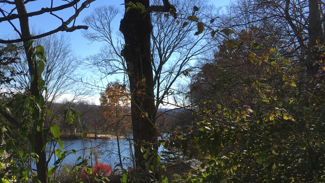 Spring Lake seen from
              the lower yard of the former Lorenzo residence