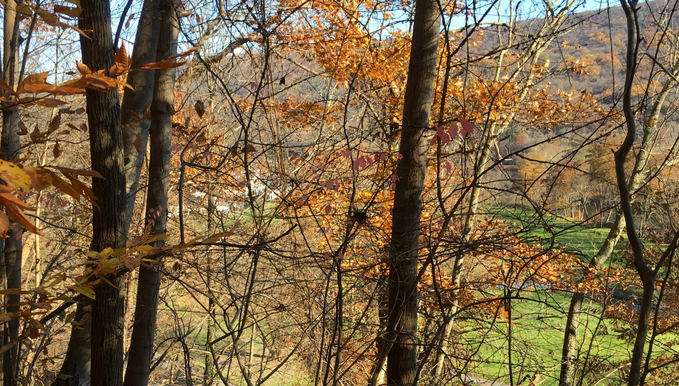 white Shawnee Inn and golf greens barely visible
              through fall foliage, mountain on far side of golf course