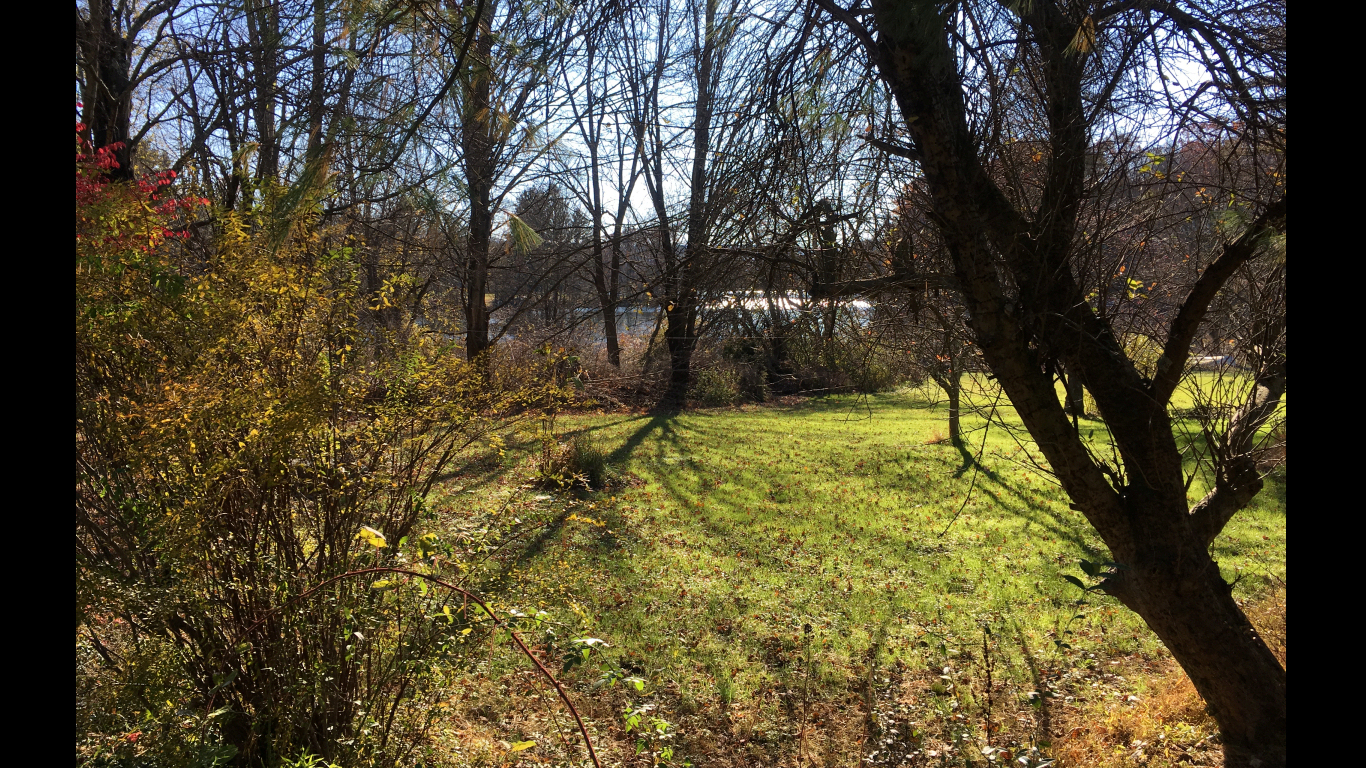 woods,
                  lake and meadow of Spring Lake, East Stroudsburg, Pa.