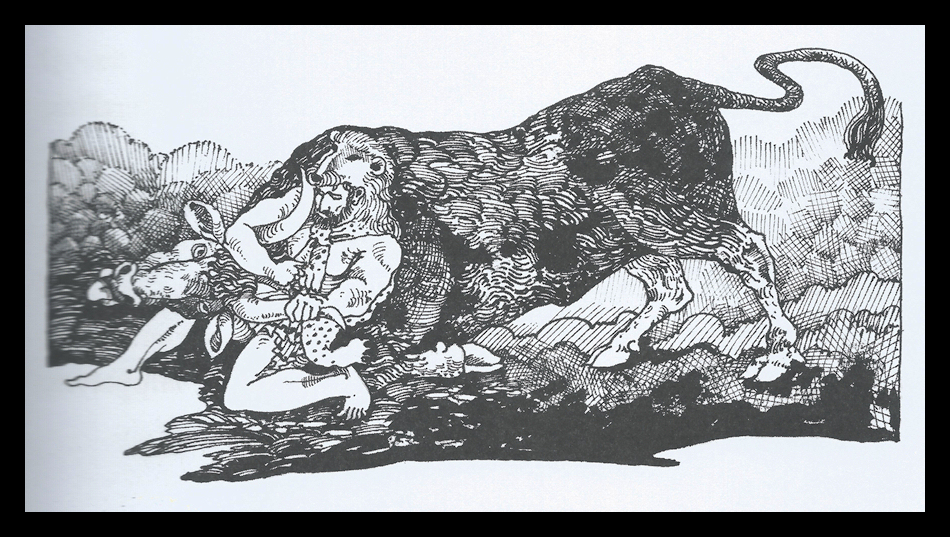 black and white line drawing of Hercules in
                a lion cape wrestling a bull by the horns to the ground