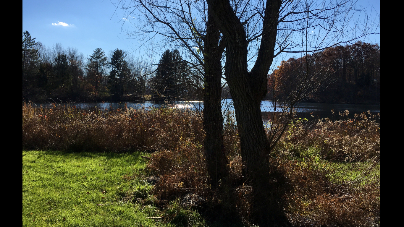 Spring Lake backlit by late afternoon
              sun, surrounded by meadows and woods