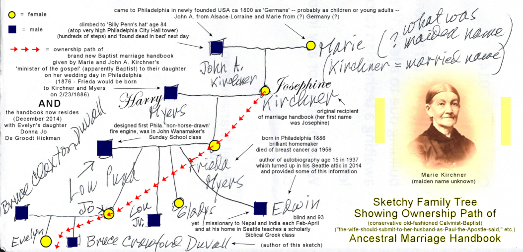 sketchy family tree showing
                ownership path of ancestral marriage handbook