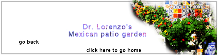 Dr. Lorenzo's Mexican
              patio garden - used as logo for The Chockawhoppin Post